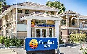 Palo Alto Comfort Inn